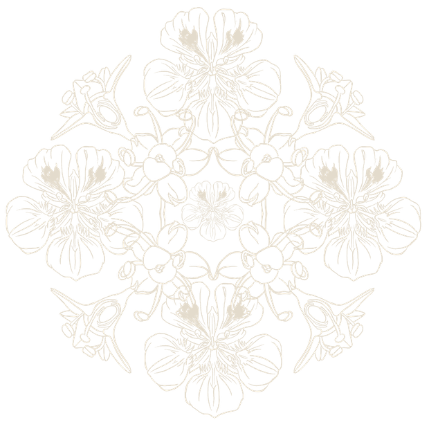 Mandala rouge